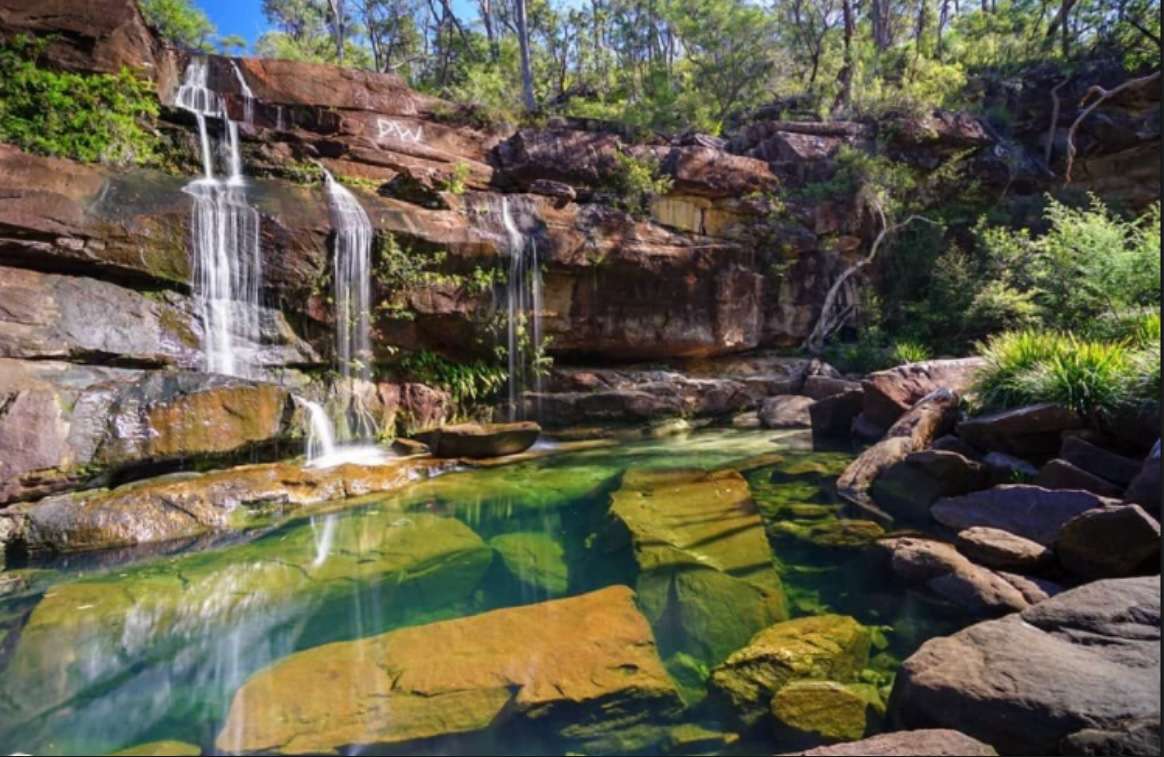 Green Triangle Gallery Nana Glen Hipcamp in Nana Glen, New South Wales