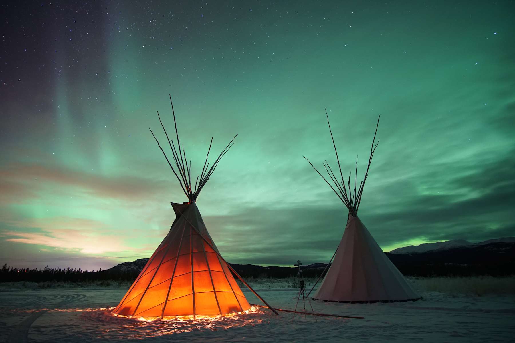 Montana's Grizzly Campground: Where the Wild Things Are (And You Can Too!)
