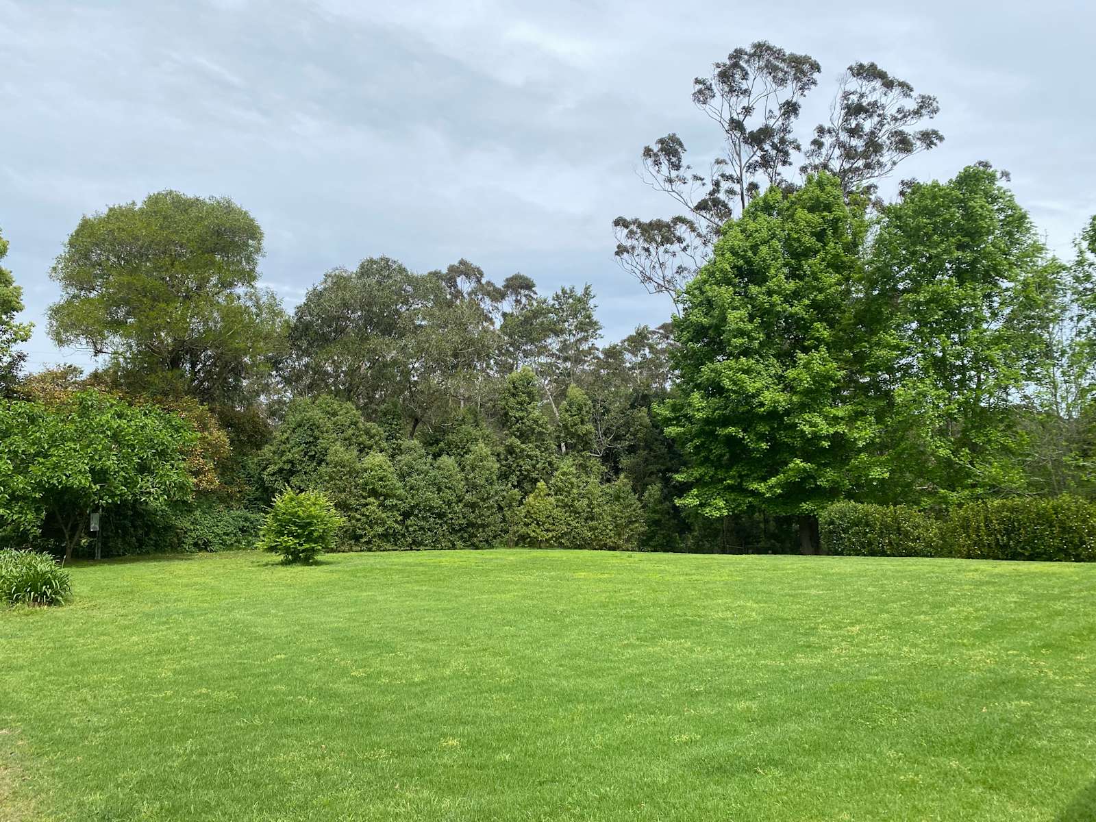 Myrtle Ridge farm Hipcamp in Ourimbah, New South Wales