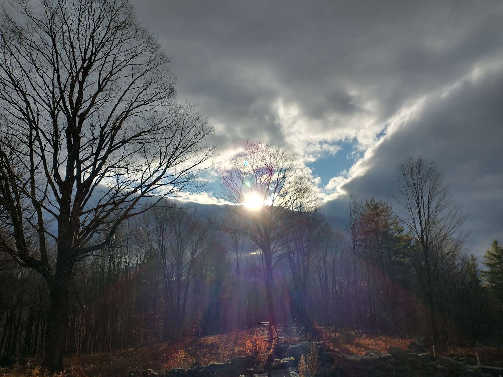 Hobby Hill Farm Hipcamp in Newfane, Vermont