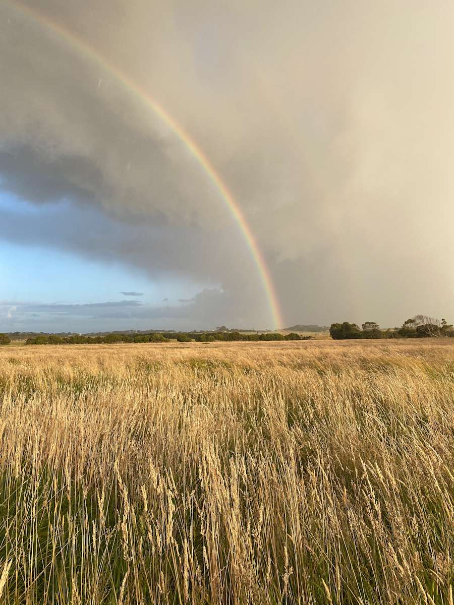 Field Phillip Island - Photo 3