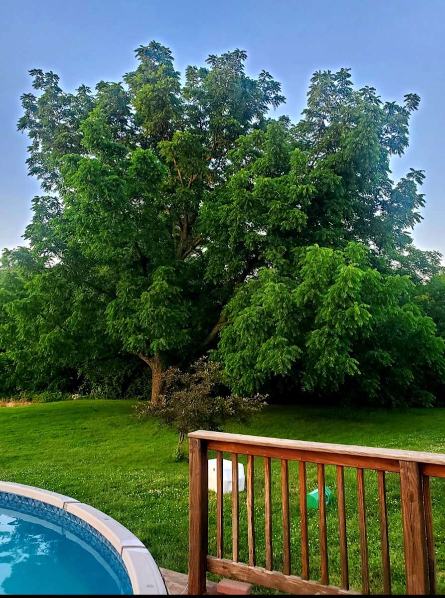 Miller's Landing Hipcamp in Huron, Ohio