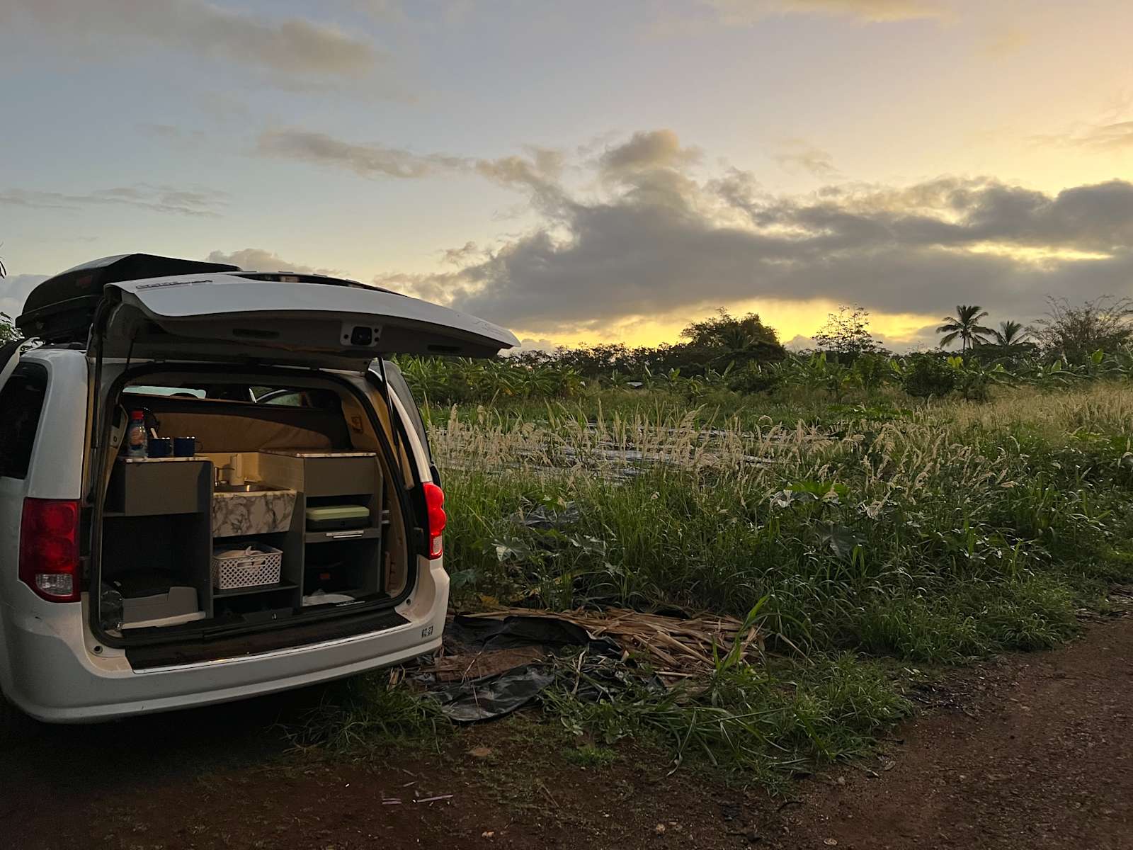 Camping under Fruit Trees in a farm Hipcamp in Mokuleia, Hawaii