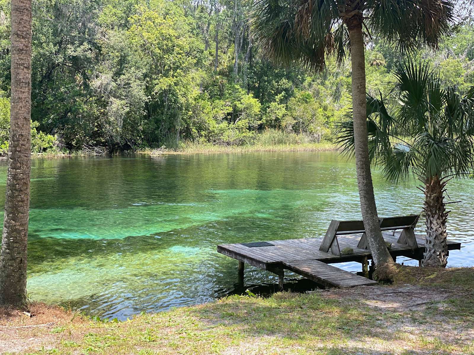CR Ranch - Hipcamp in Dunnellon, Florida