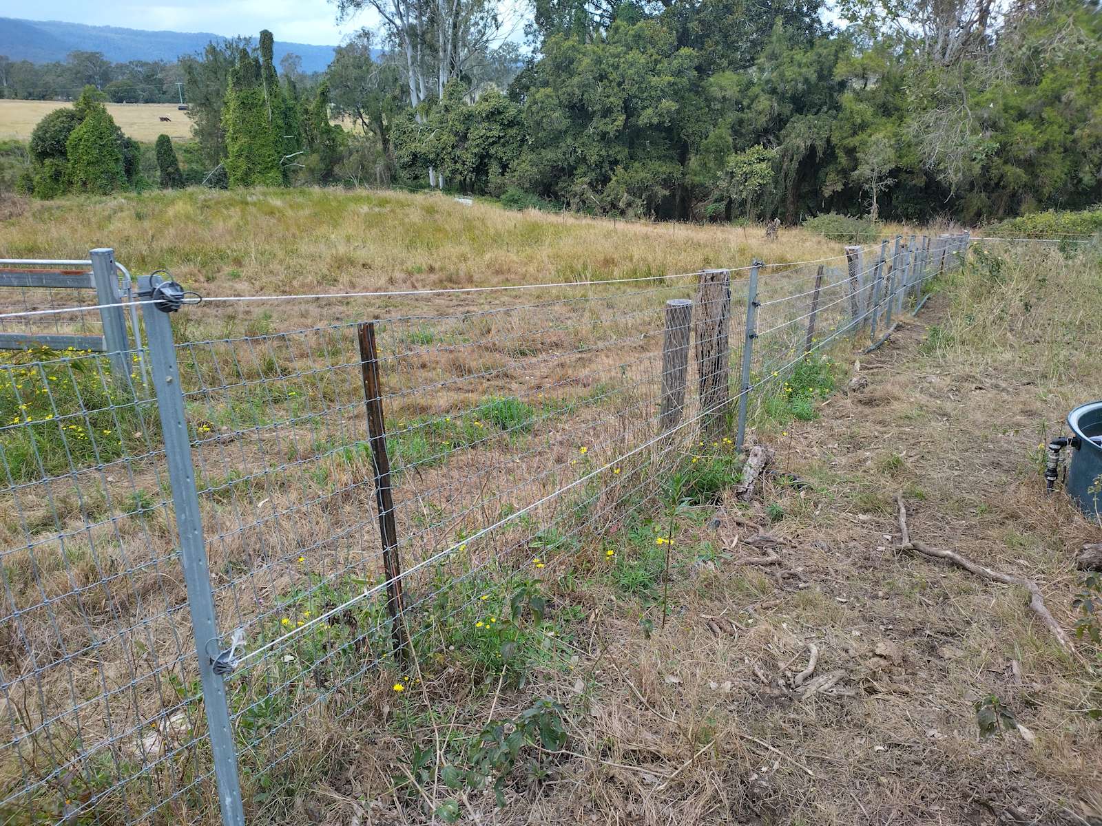 Albert River Ranch - Hipcamp in Mundoolun, Queensland