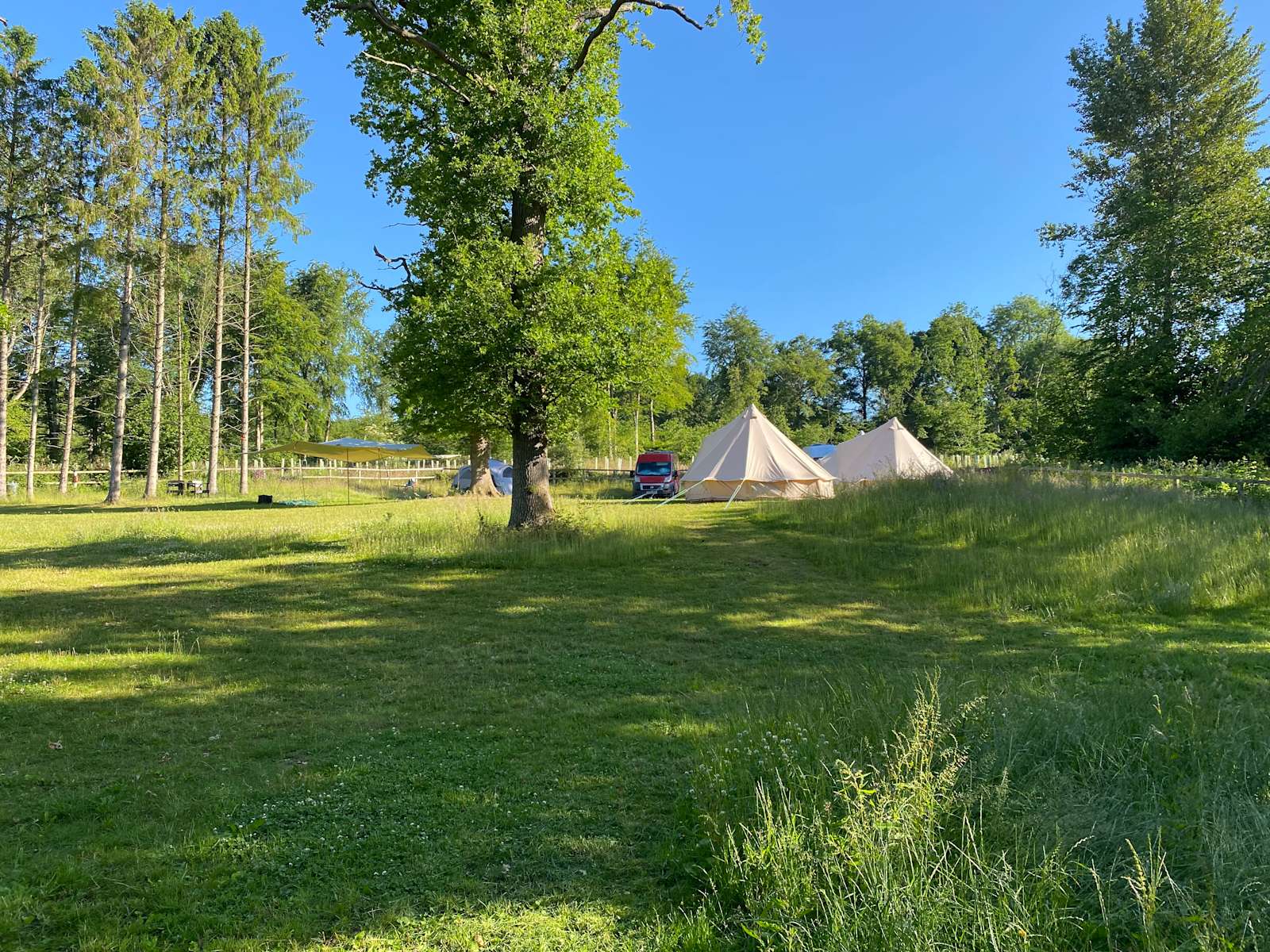 Woodlands Camping Hipcamp in Ropley, England
