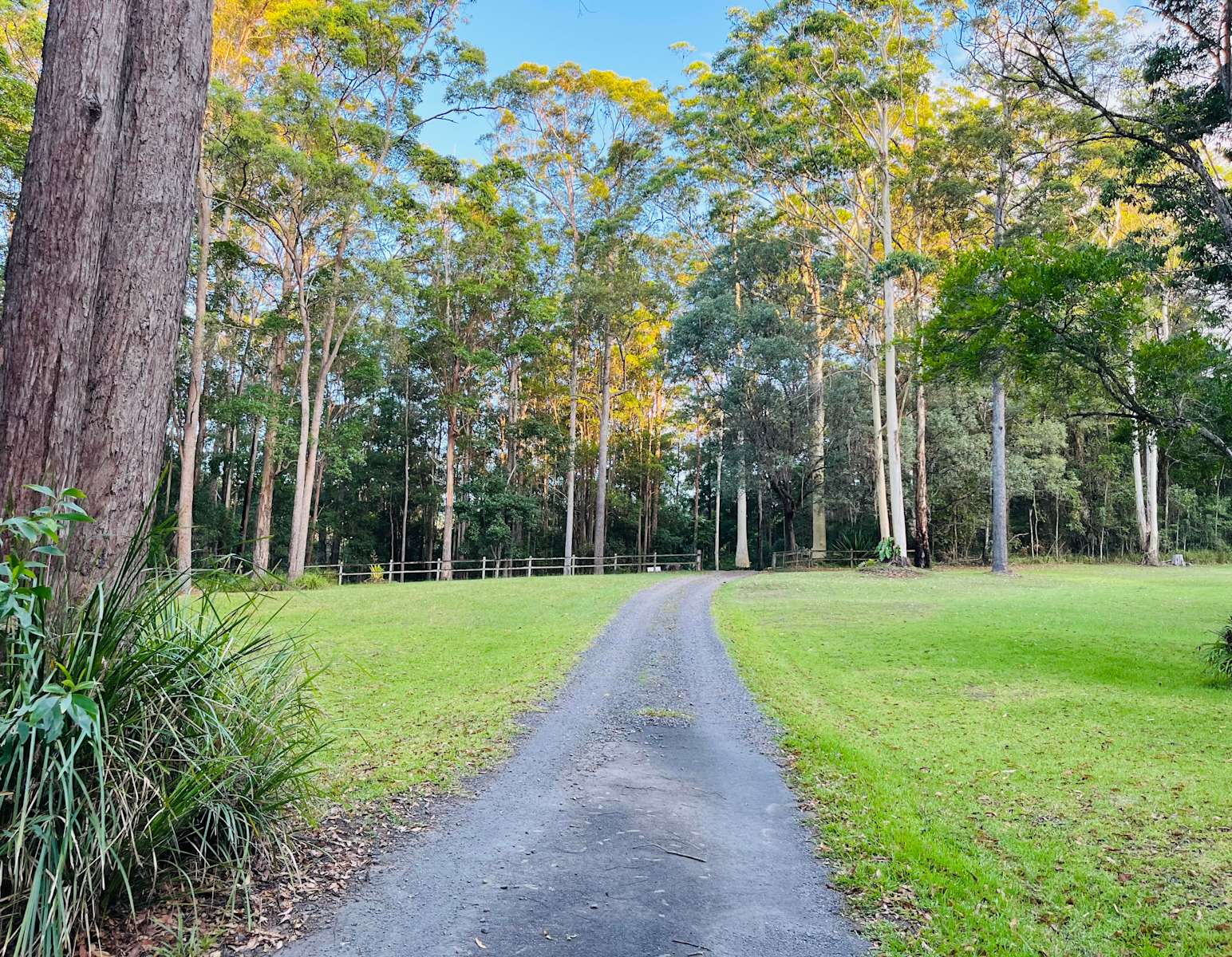 The Sanctuary Noosa Hinterland Hipcamp in Forest Acres, Queensland