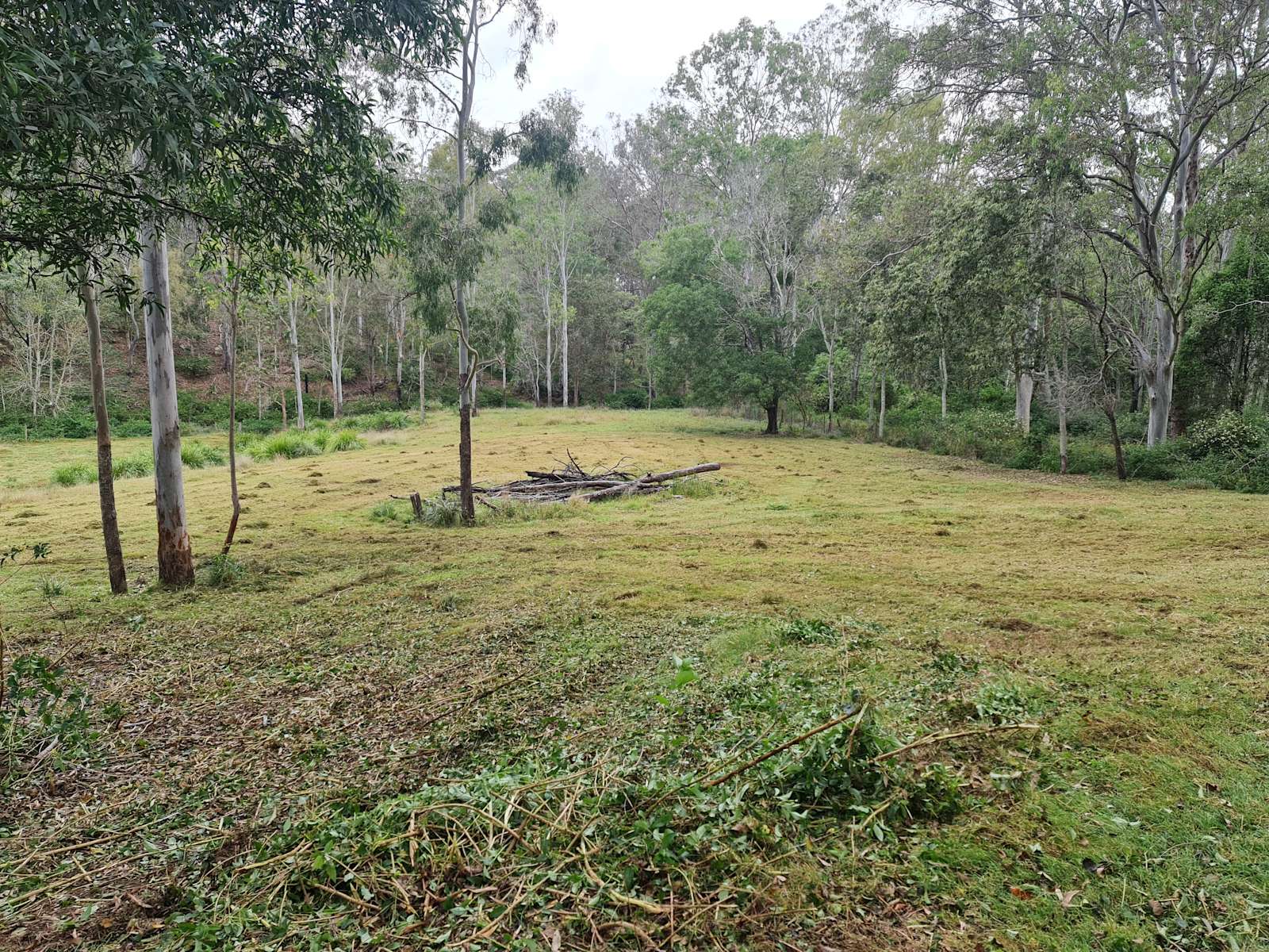 Bares Hideaway - Hipcamp in Summerholm, Queensland