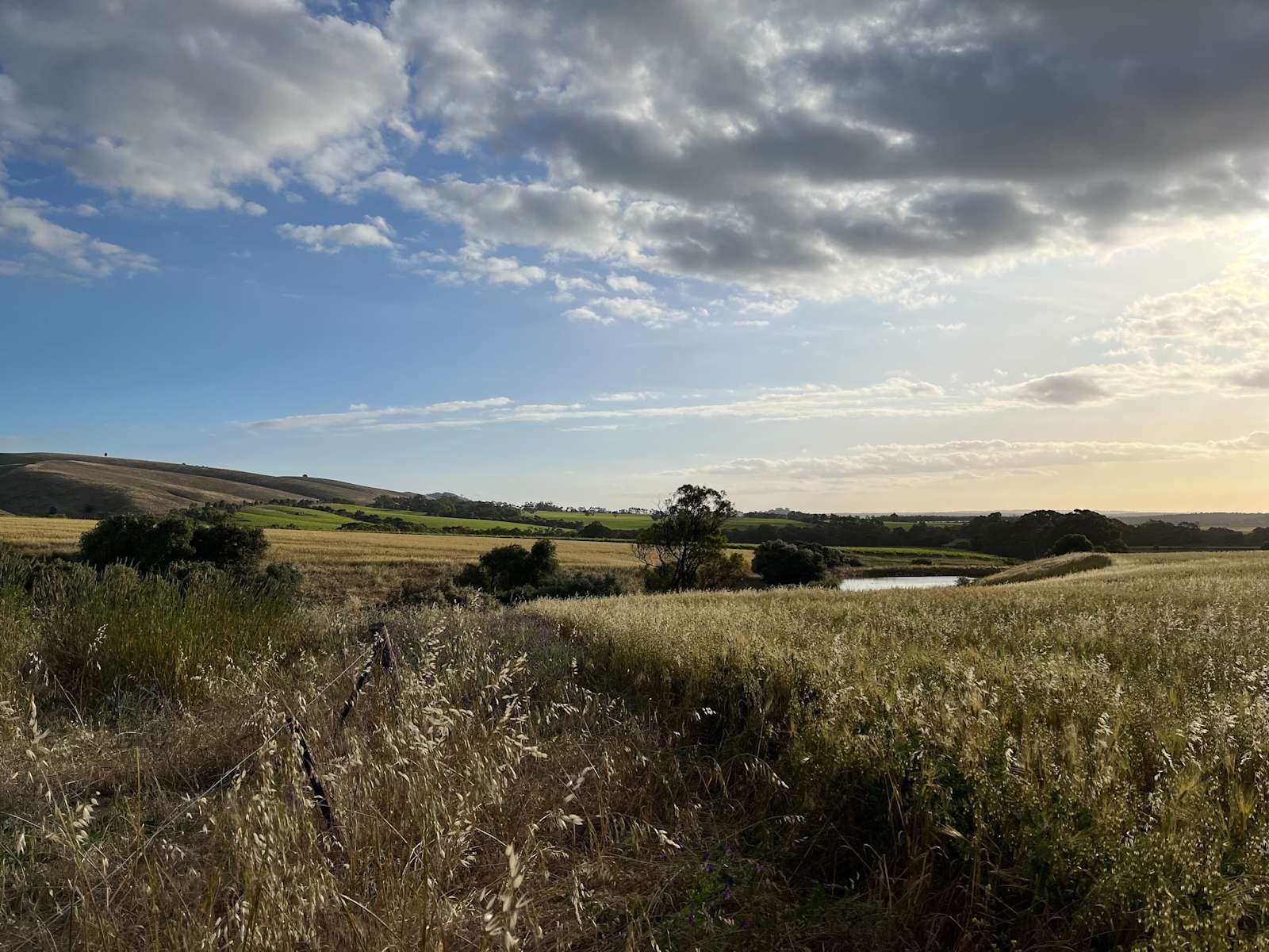 Jacob’s Creek Farm, Krondorf Hipcamp in Tanunda, South Australia