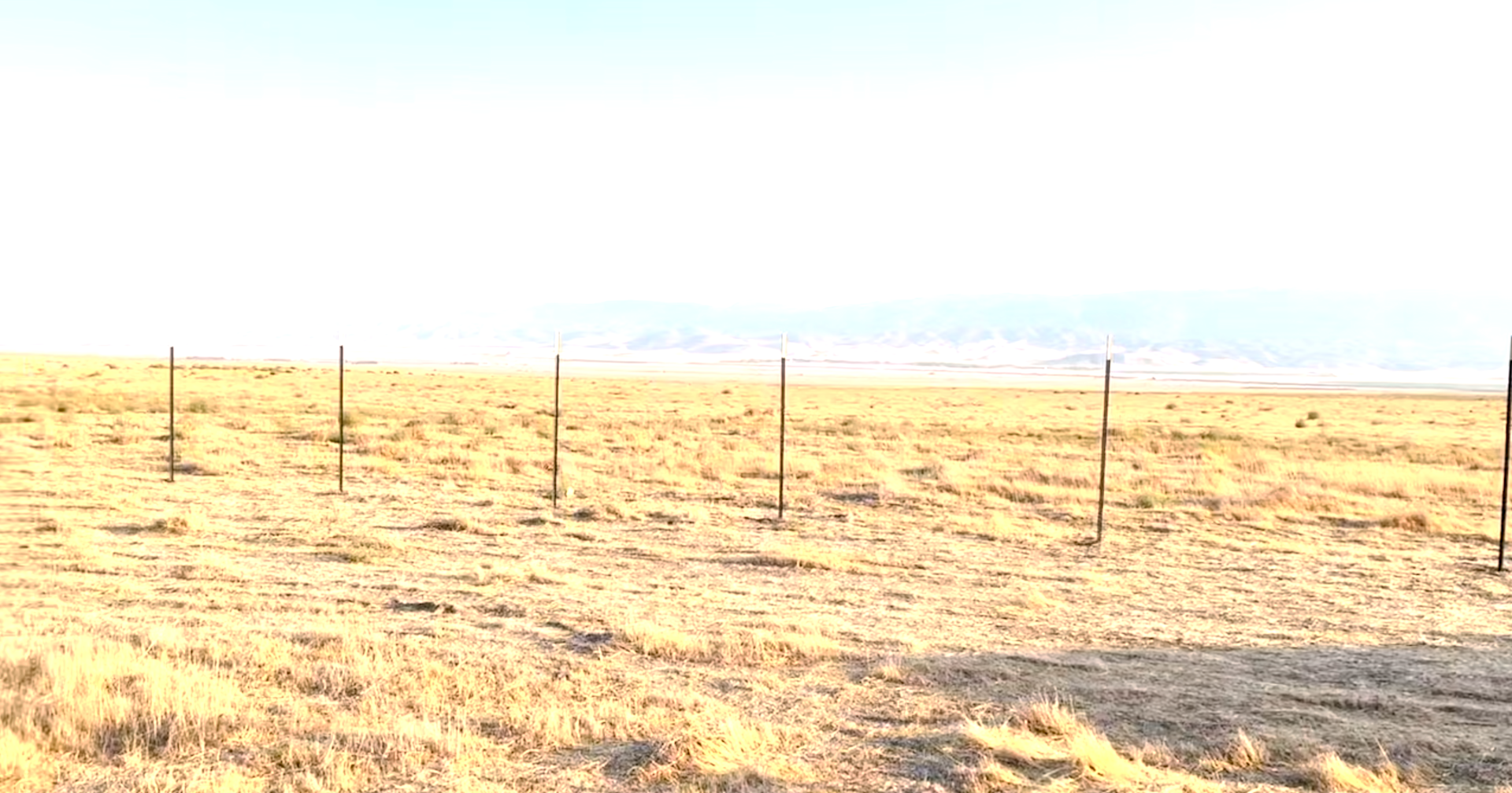 Prosperity Land Hipcamp in Lebec, California