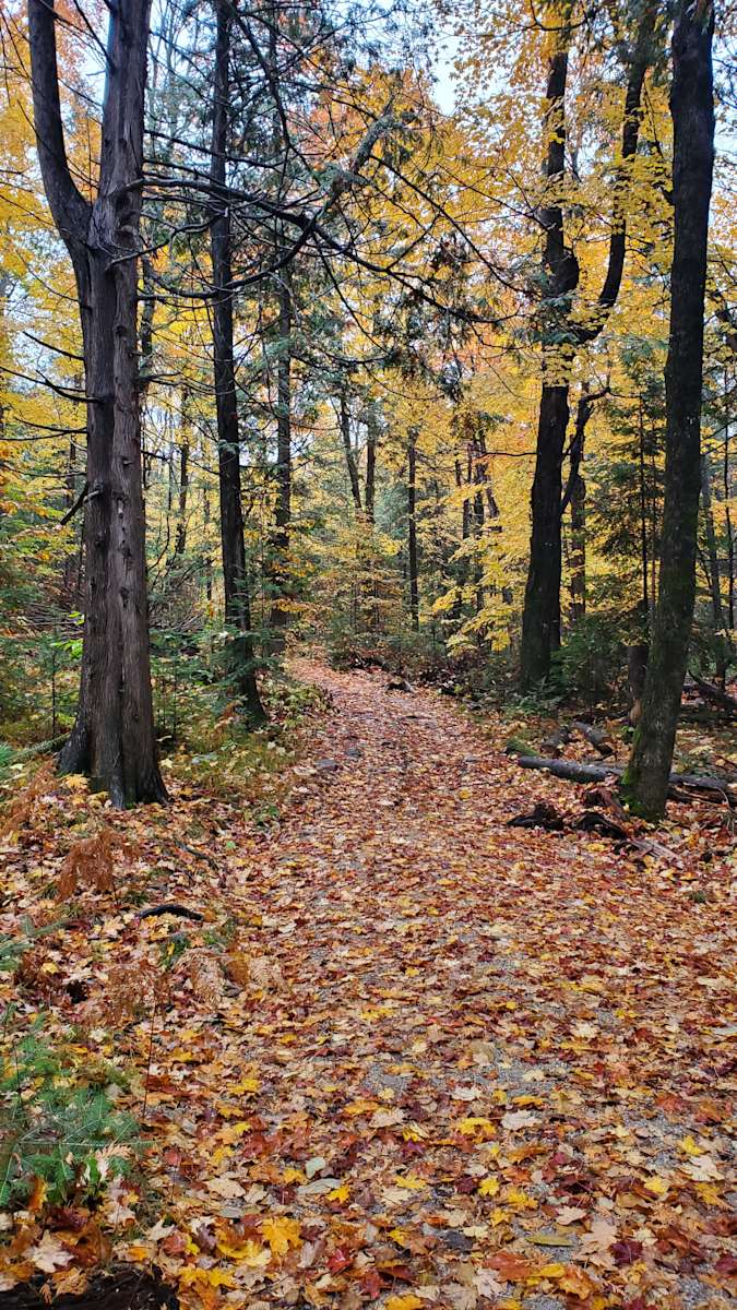 Jacobs Landing, Lanark Highlands Hipcamp in Renfrew, Ontario
