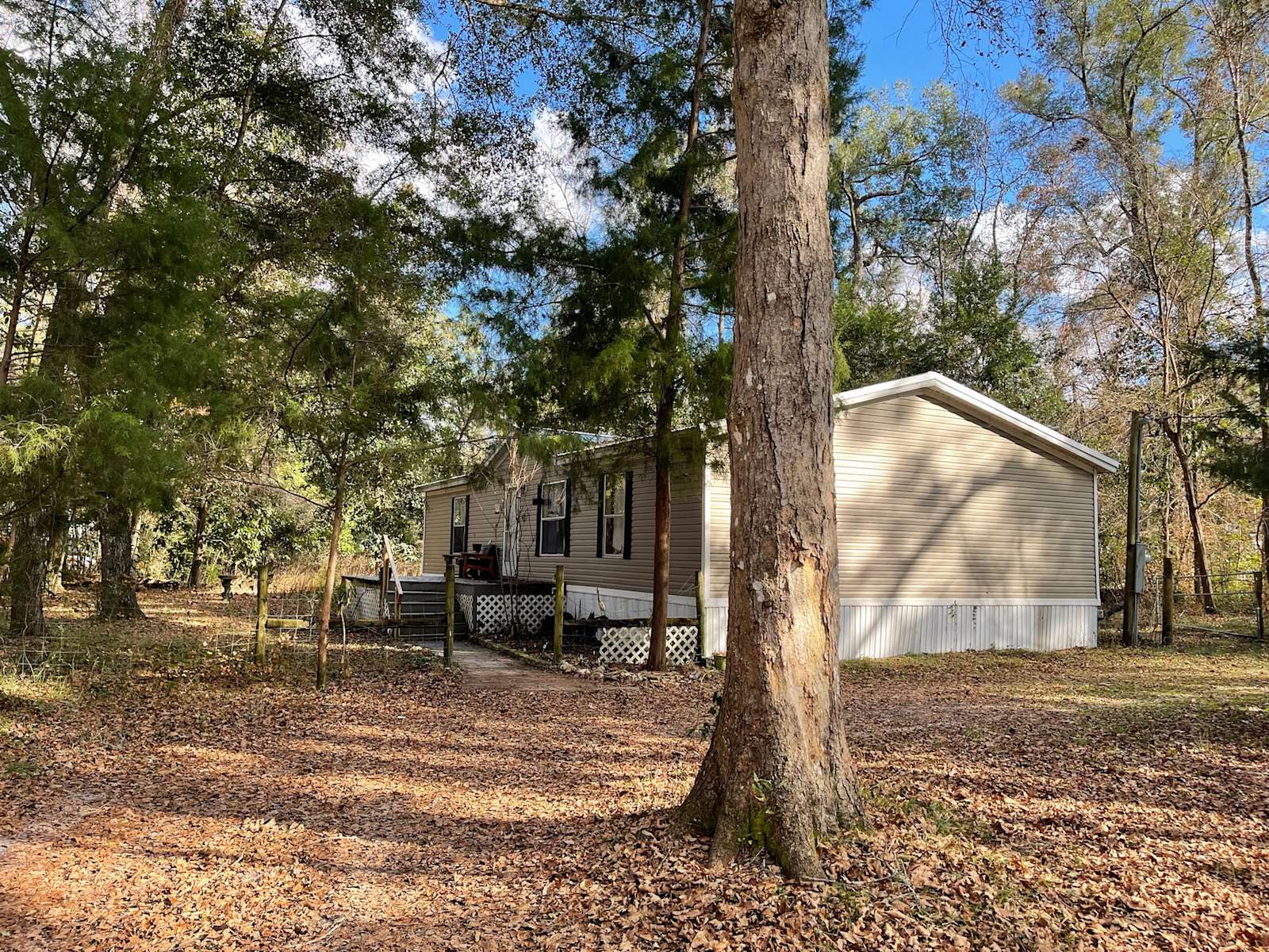 Your Crystal Camp at Three Rivers Hipcamp in Fort White, Florida