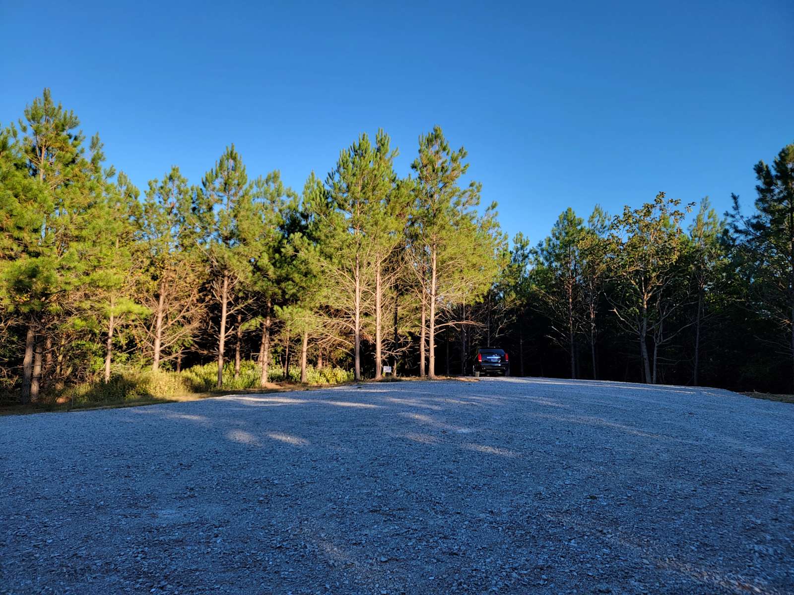 Hidden Forest Hipcamp in Linden, Tennessee