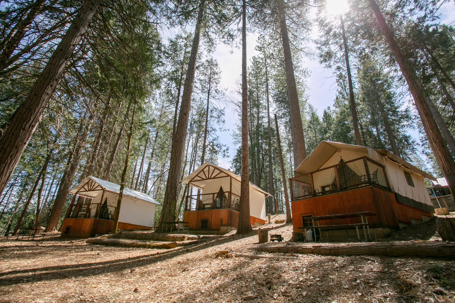 Inn Town Campground Hipcamp in Nevada City, California