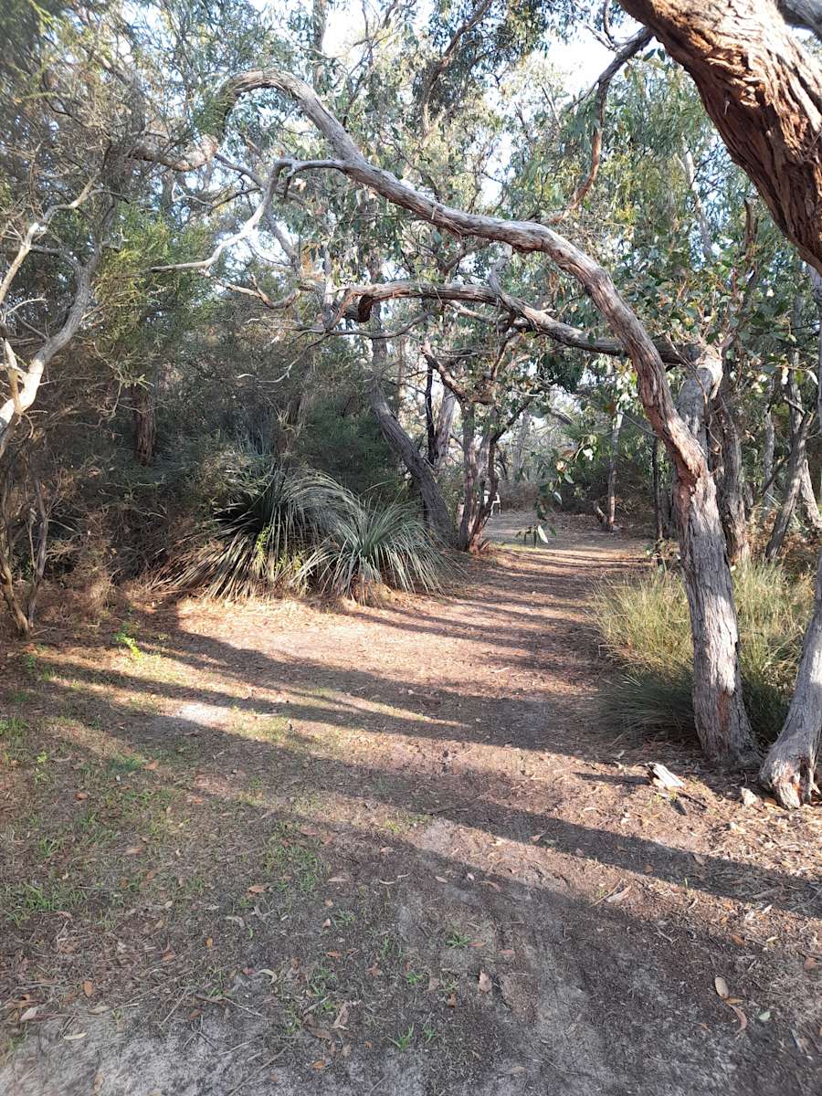 The Scrub Campsite Hipcamp in Inman Valley, South Australia