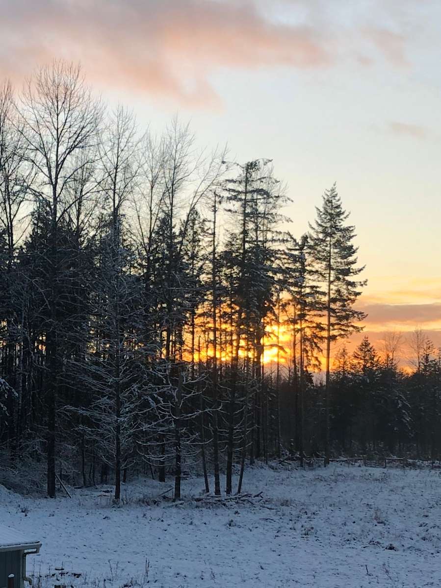 Ravenwood Farm Hipcamp in Eatonville, Washington