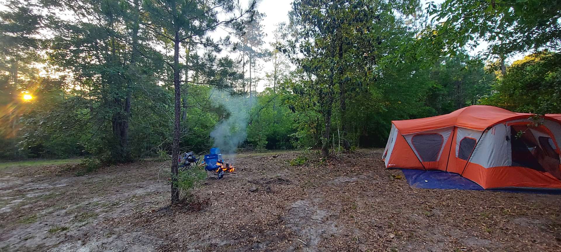 THRIVE family camp and RV Hipcamp in Woodville Texas