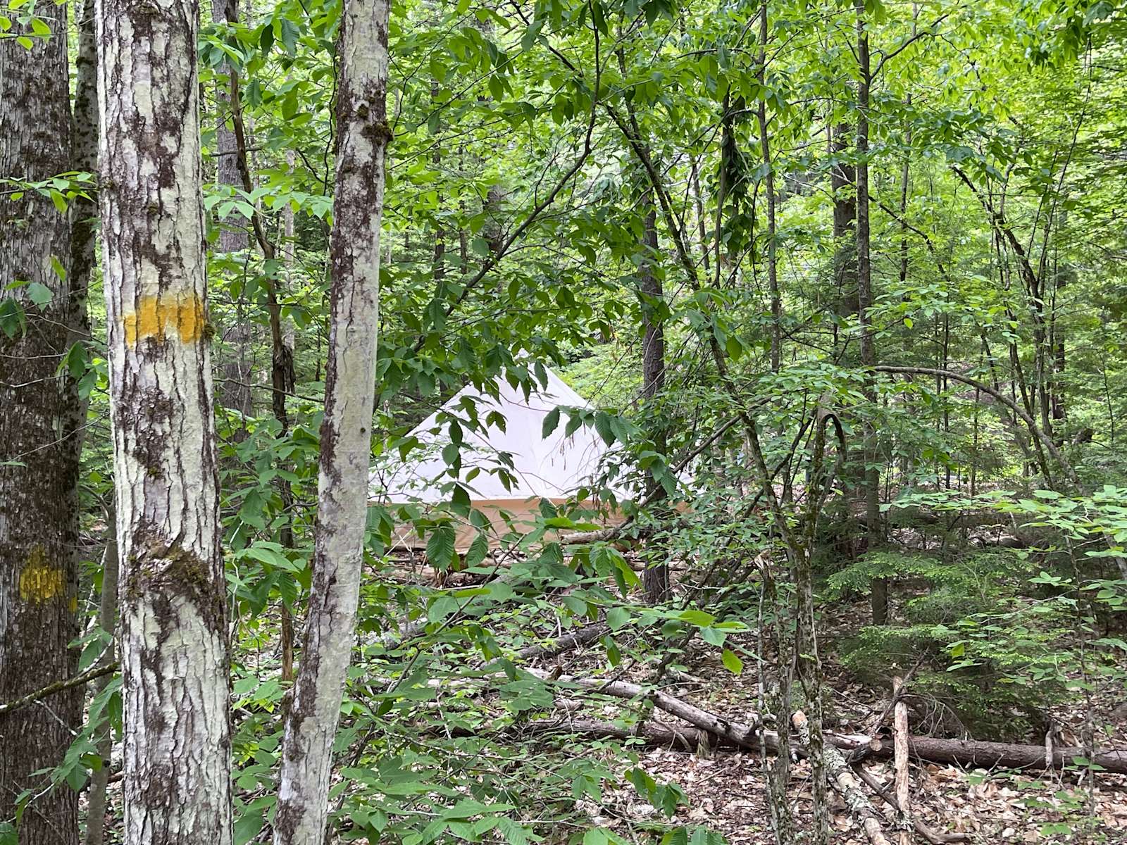 Red Maple Farm Riverside Yurt Hipcamp in Contoocook, New Hampshire