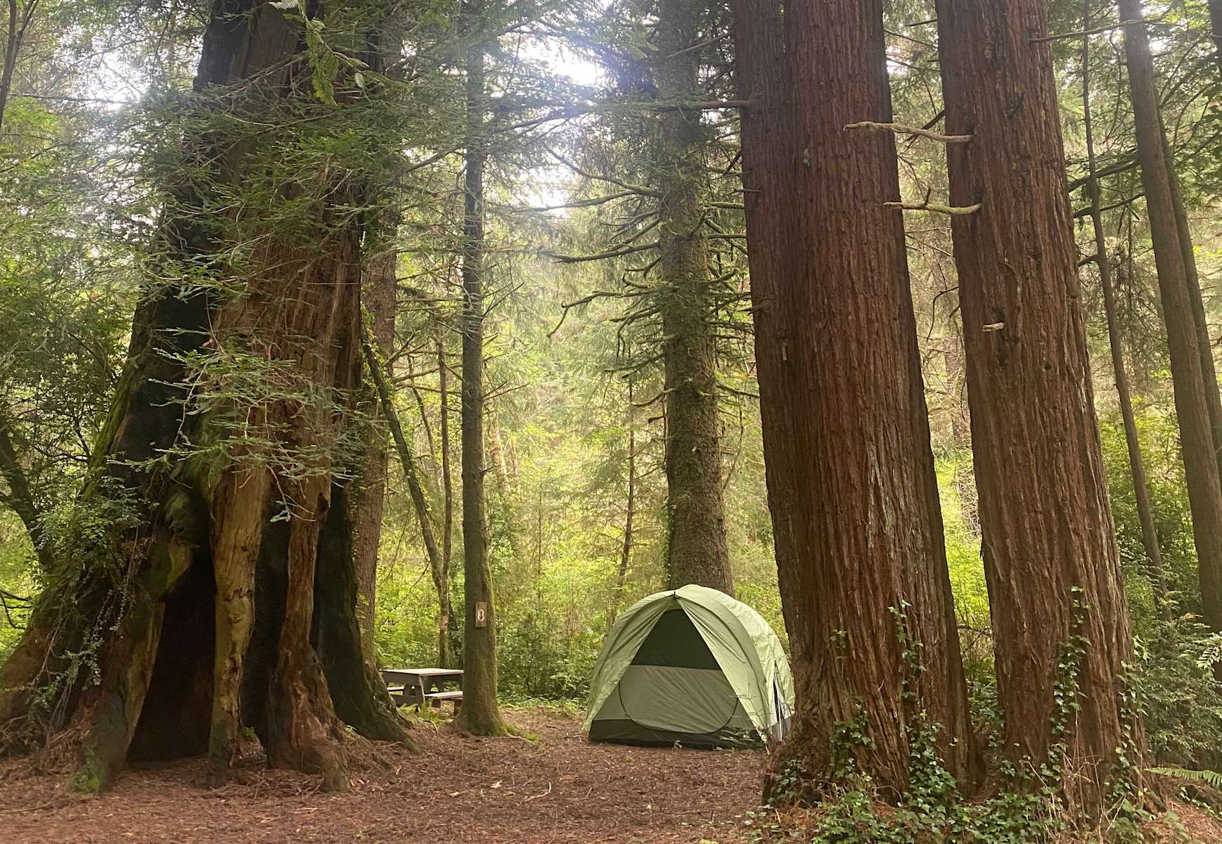 Mystic Forest Campground Hipcamp in Klamath California