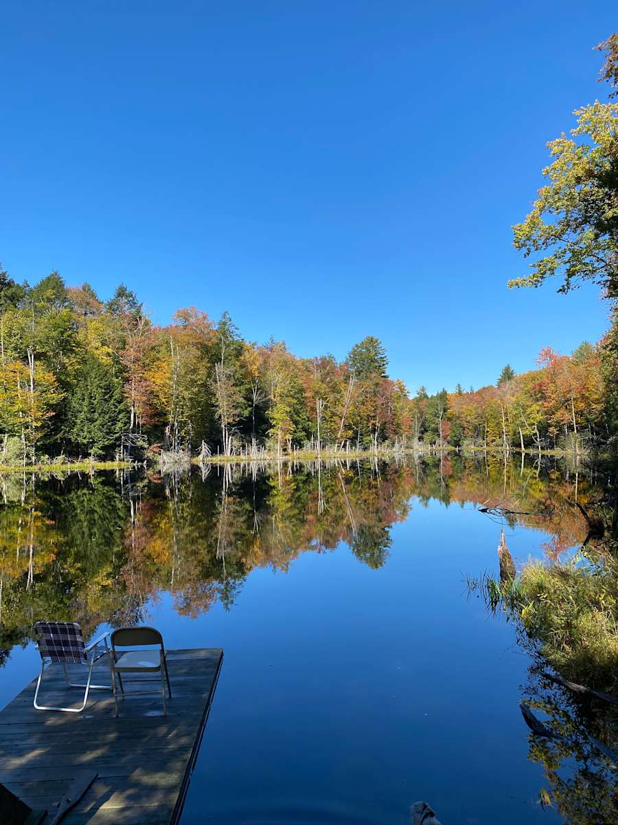 Through the Orchard Hipcamp in Greenfield Park, New York