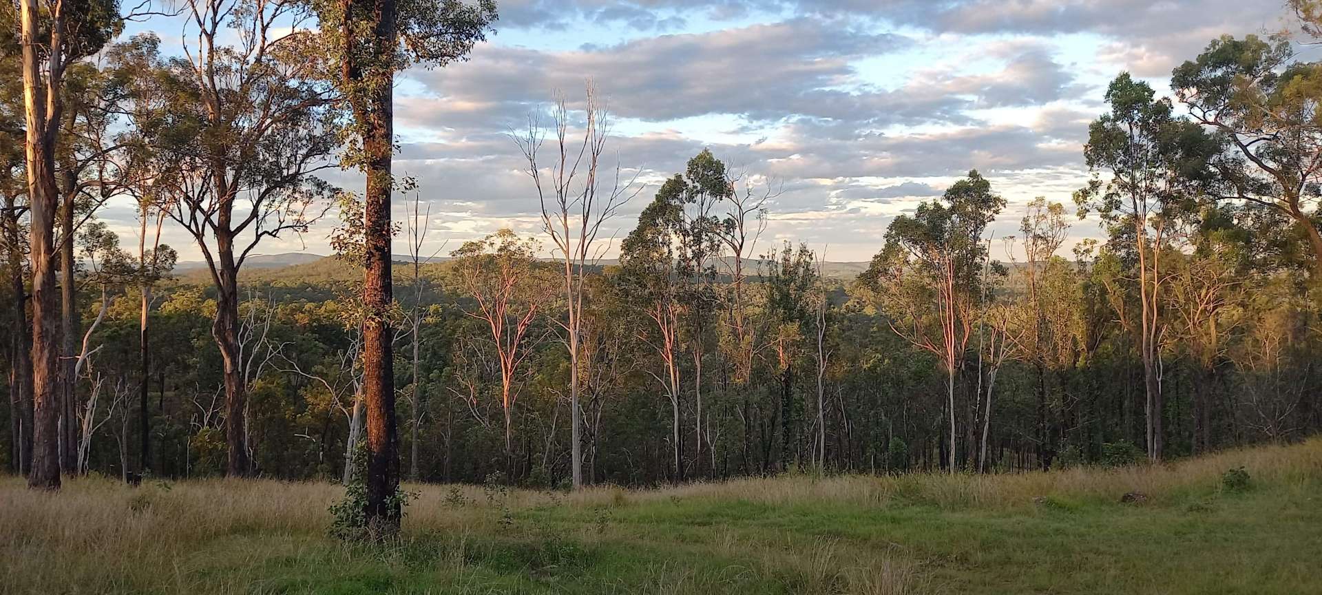 Sunrise Mountain Ridge - Hipcamp in Grafton, New South Wales