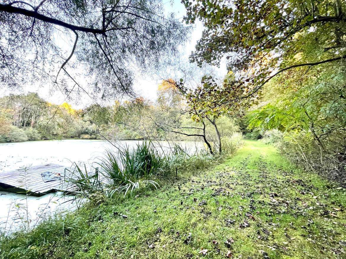 Serenity Acres Tent Camping Hipcamp in Avonmore, Pennsylvania