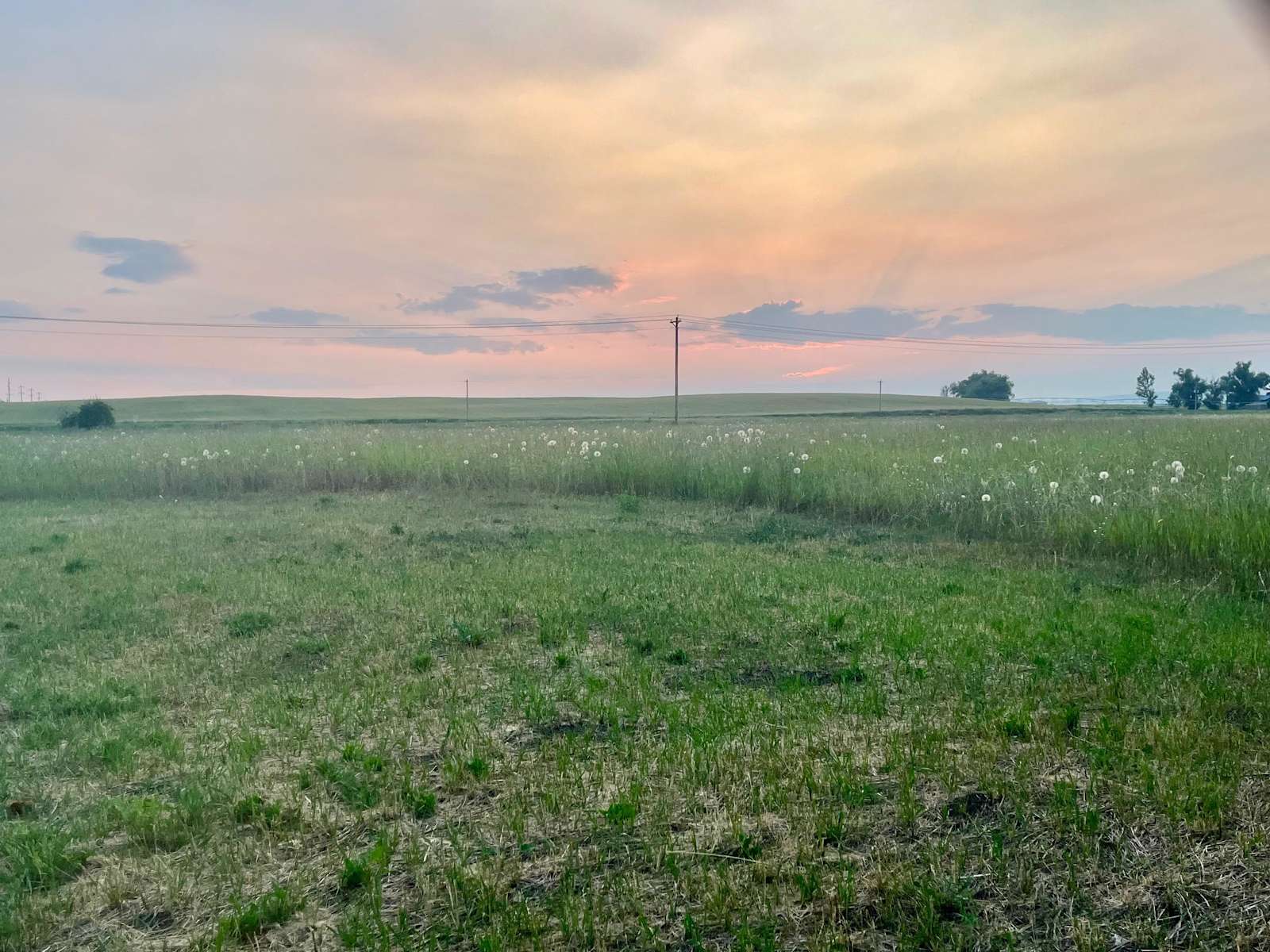Montana's Mission Meadows: Where Adventure Awaits
