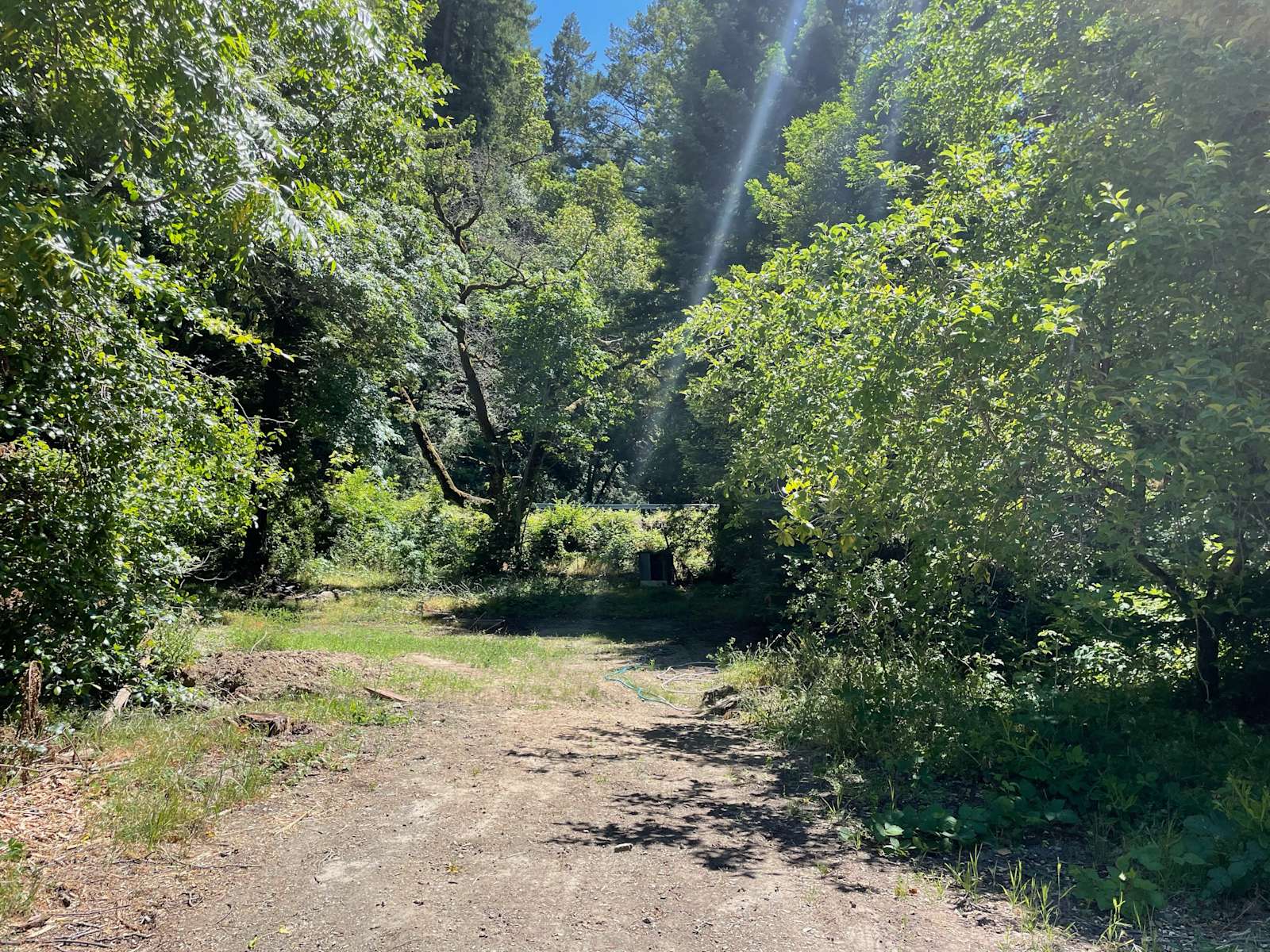 Redwood Meadows - Hipcamp in Saratoga, California