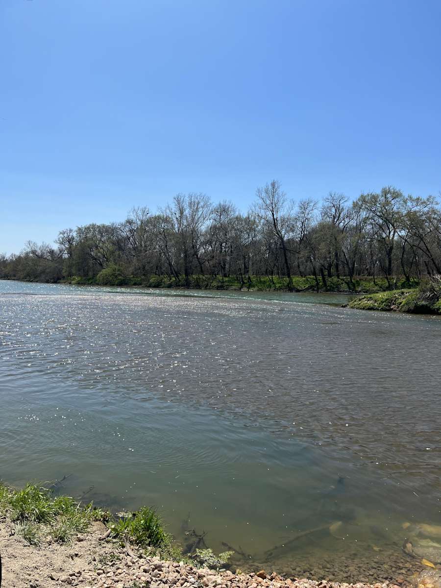 Wild and Boujee Ranch - Hipcamp in Smithville, Texas