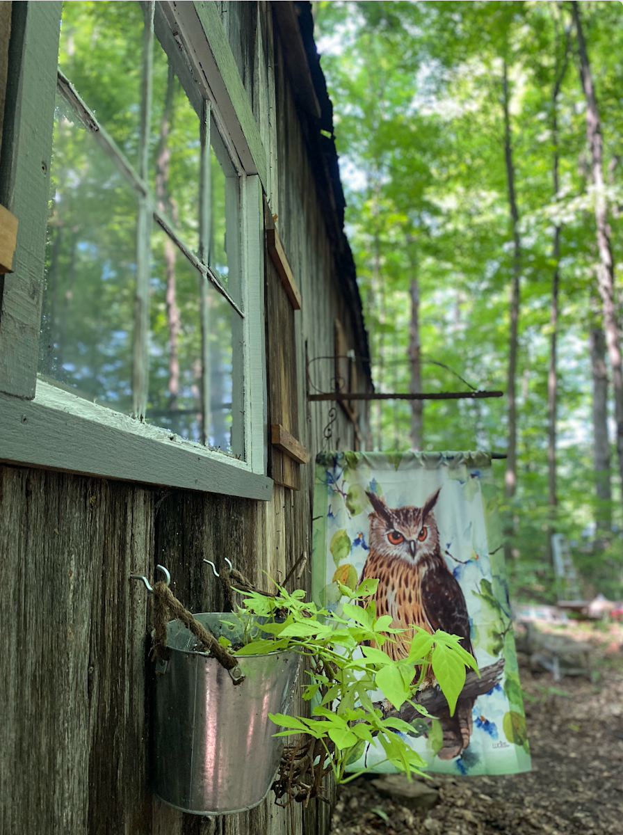 Cabine Luciole Hipcamp in Godmanchester, Quebec