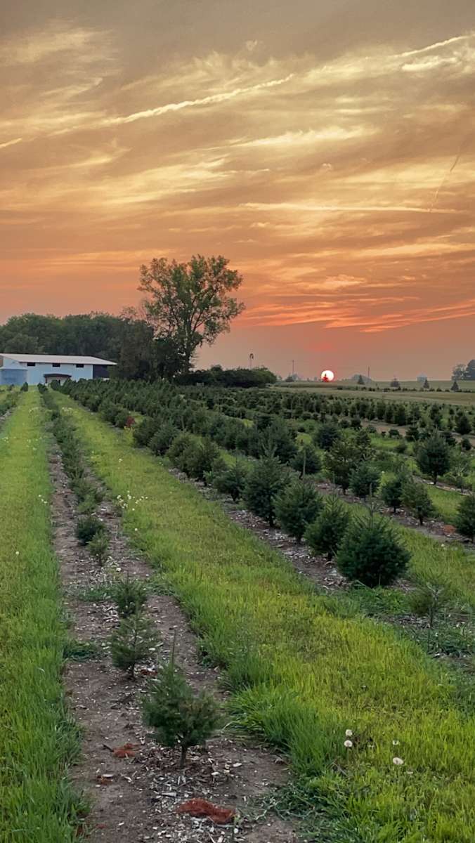 DILLON TREE FARM Hipcamp in Alden, Iowa