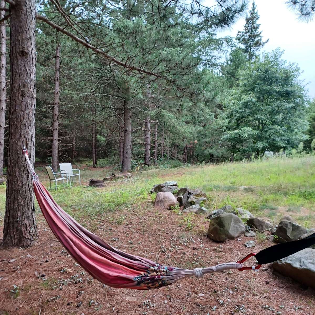 Woodsy Ice Age Trail Cabin Hipcamp in Coloma, Wisconsin