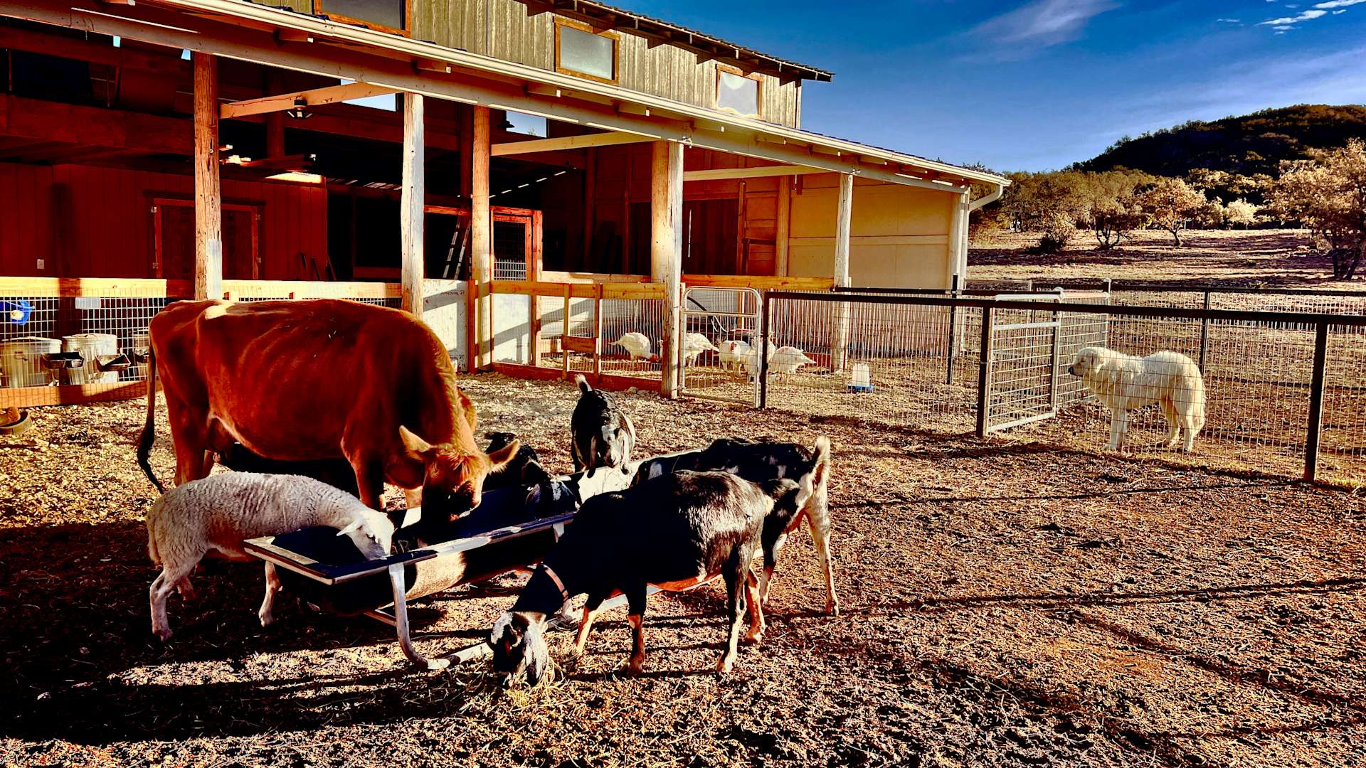 Laurel Ranch Hipcamp in Pipe Creek, Texas