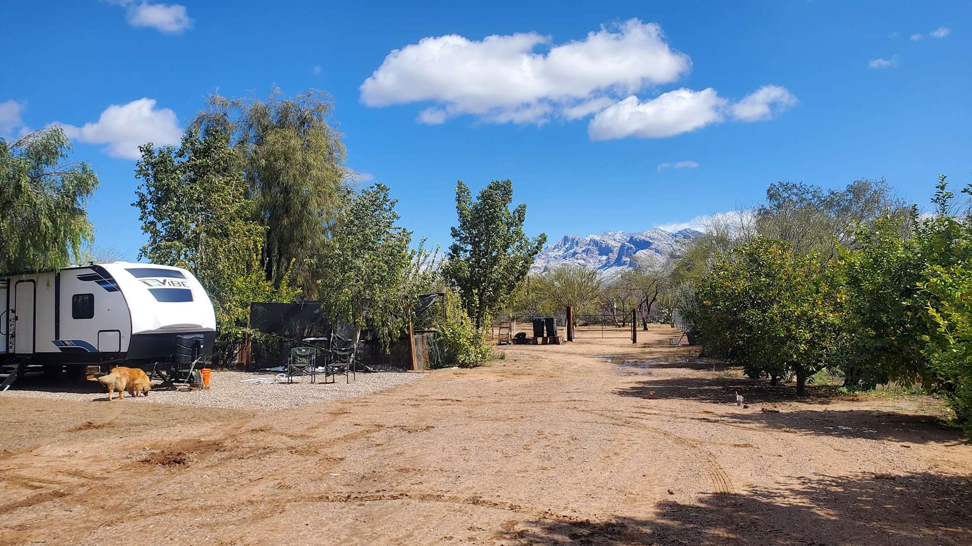 Double H Hacienda - Photo 2
