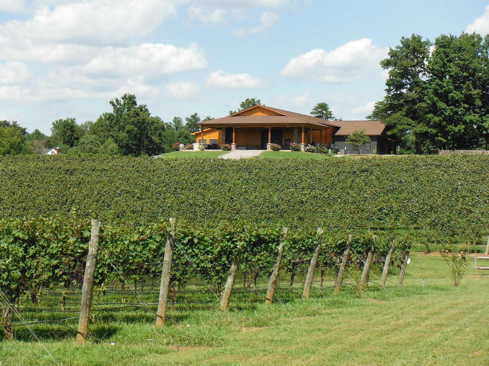 Round Peak Vineyards Hipcamp in Mount Airy, North Carolina