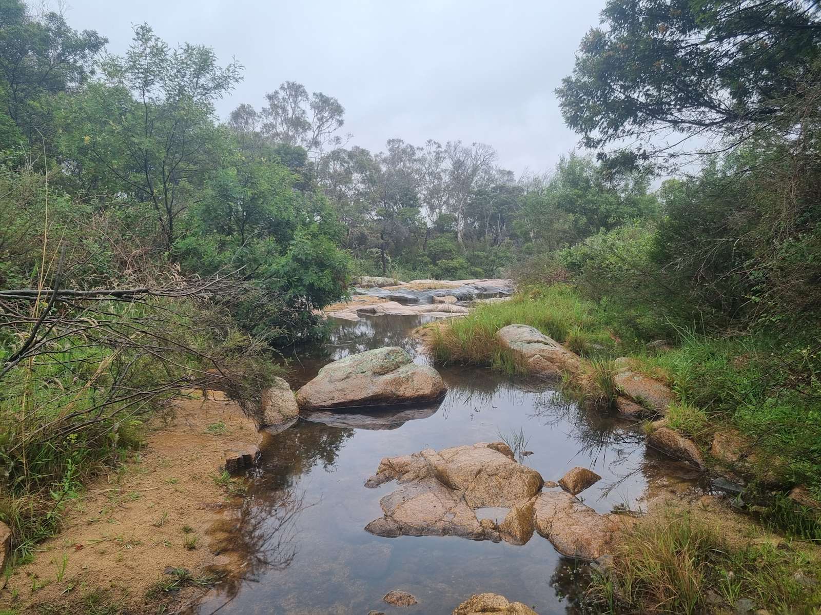 Spring Creek Valley Farm Hipcamp in Warri, New South Wales