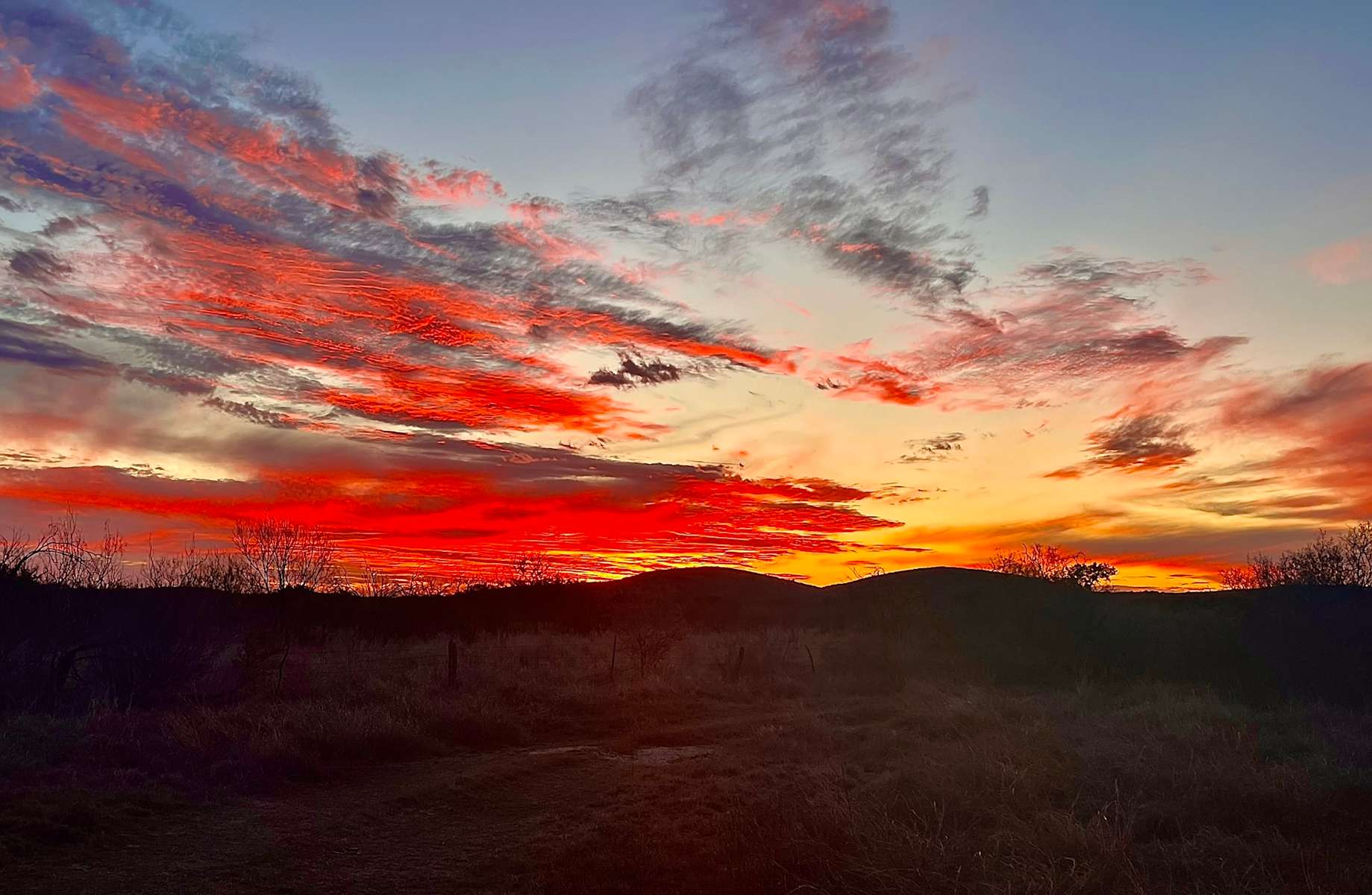 The Chapman Ranch Hipcamp in Knippa, Texas