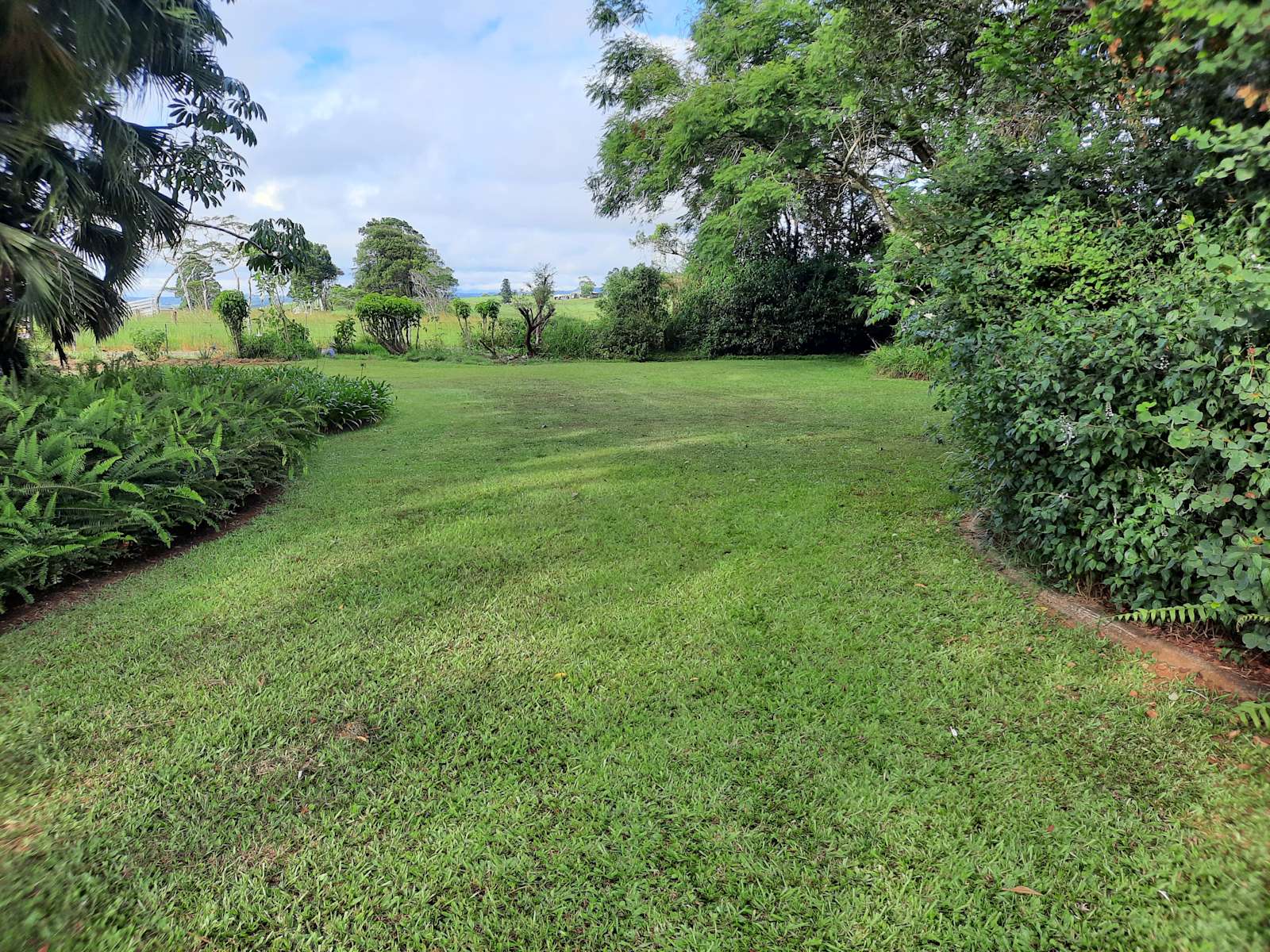 Three Falls Property Hipcamp in Millaa Millaa, Queensland