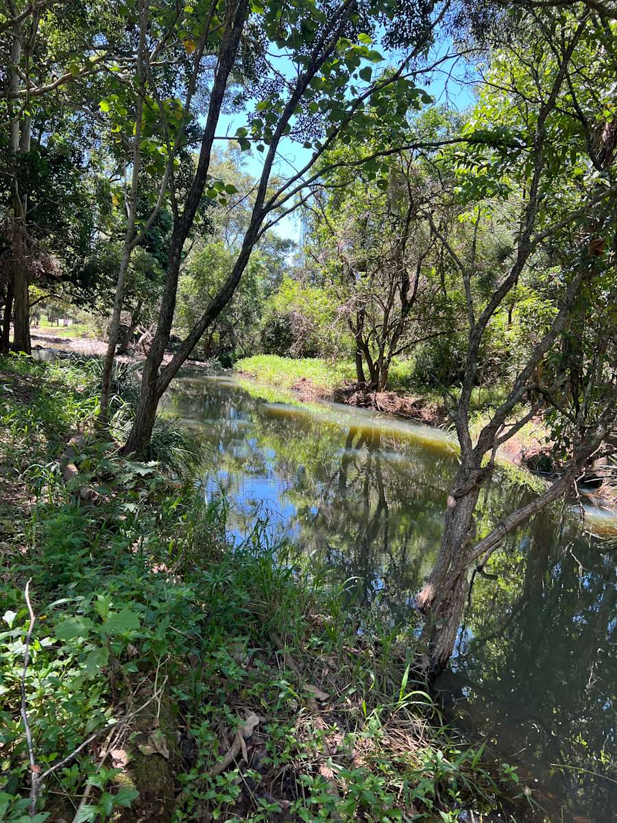 Cockatoo Creek - Photo 2