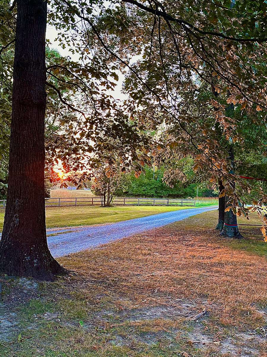 Honeysuckle Ridge Hipcamp in Henryville, Indiana