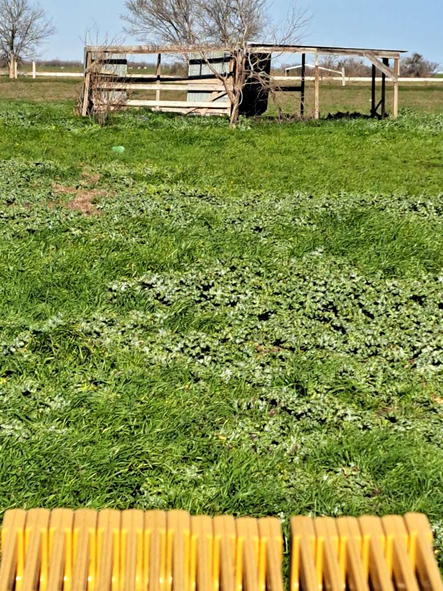 Barton Ranch Hipcamp in Mart Texas