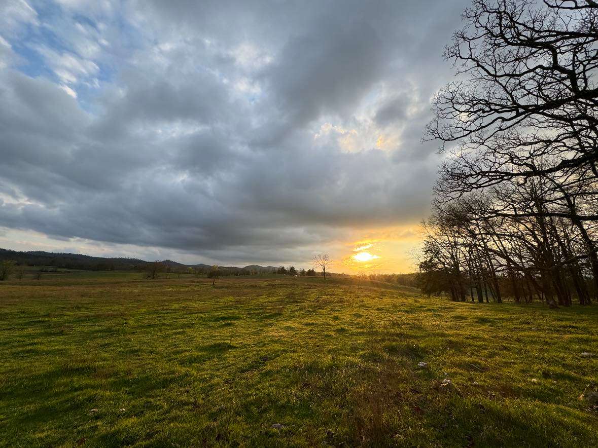 Hog Jaw Hill TOTALITY & CRYSTALS! Hipcamp in Oden, Arkansas