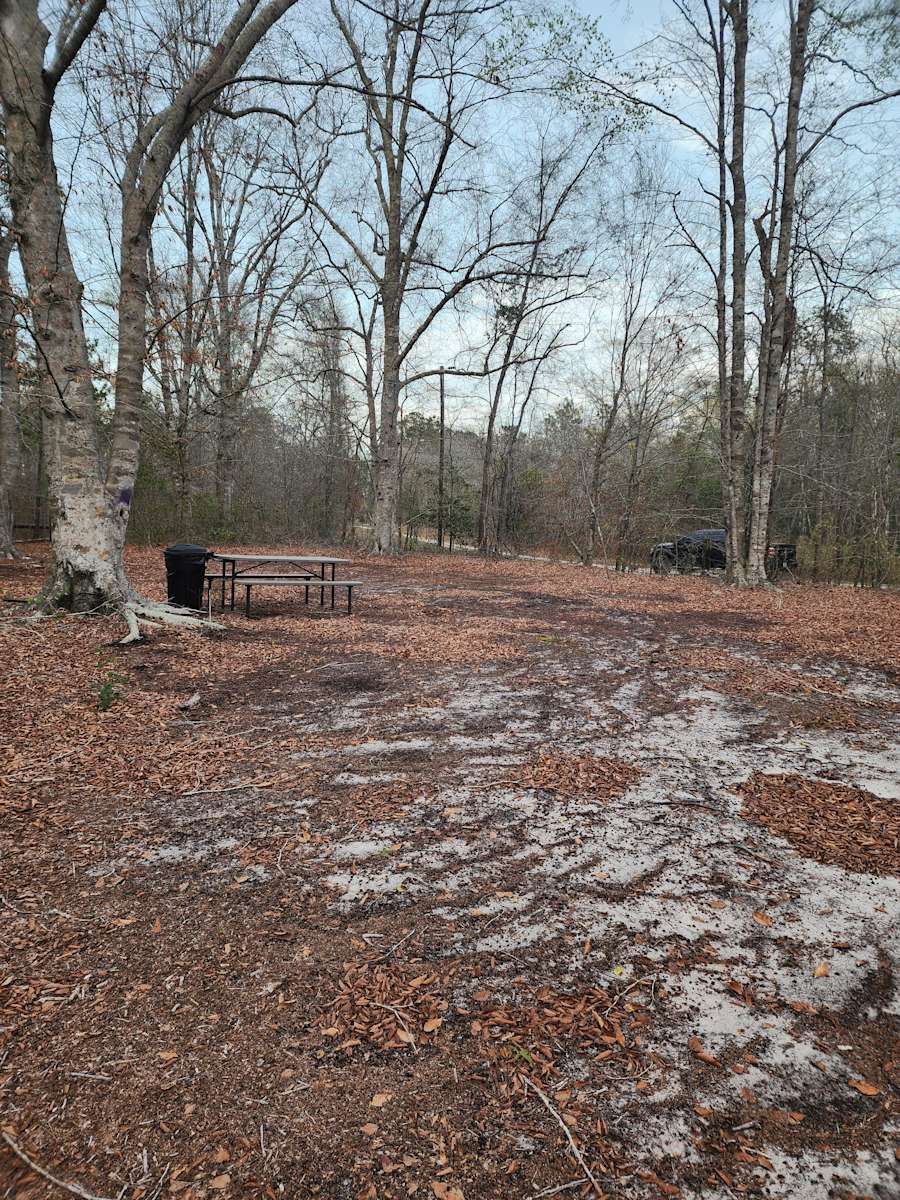 Swift Creek Primitive Camping Hipcamp in Vanceboro, North Carolina