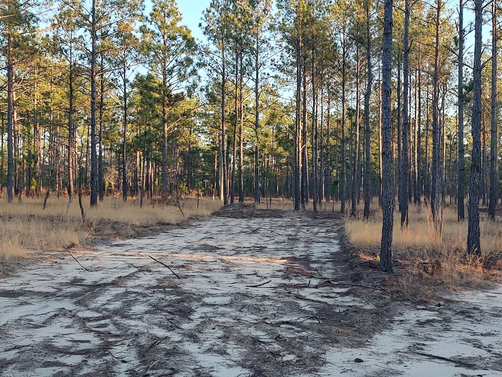 Broken Tree Ranch Hipcamp in Ellerbe, North Carolina