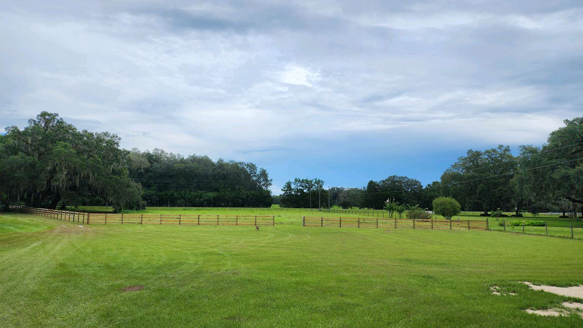 Maestas Family MiniFarm Hipcamp in Bushnell, Florida