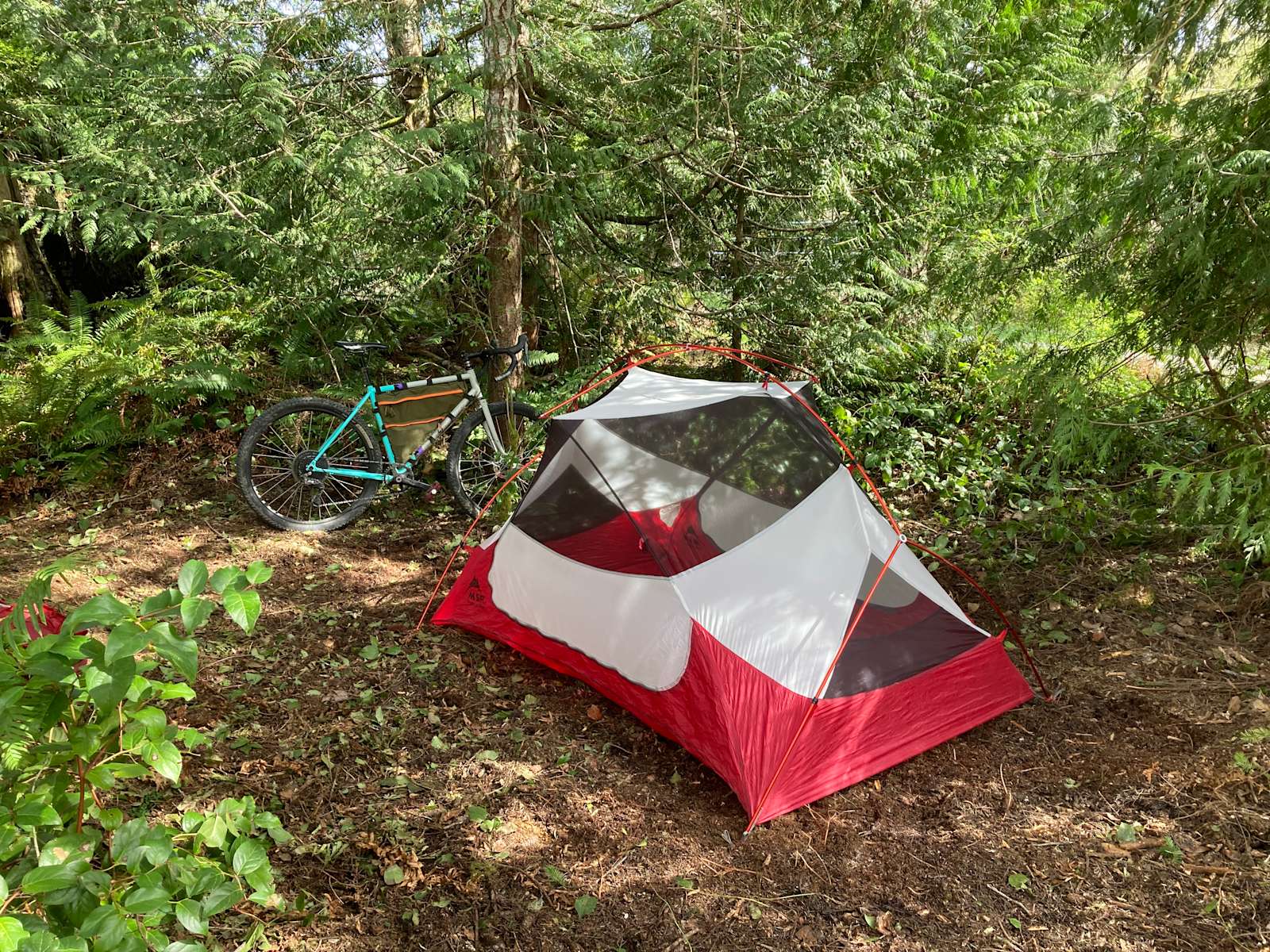 Salt Creek Cedars Hipcamp in Port Angeles, Washington