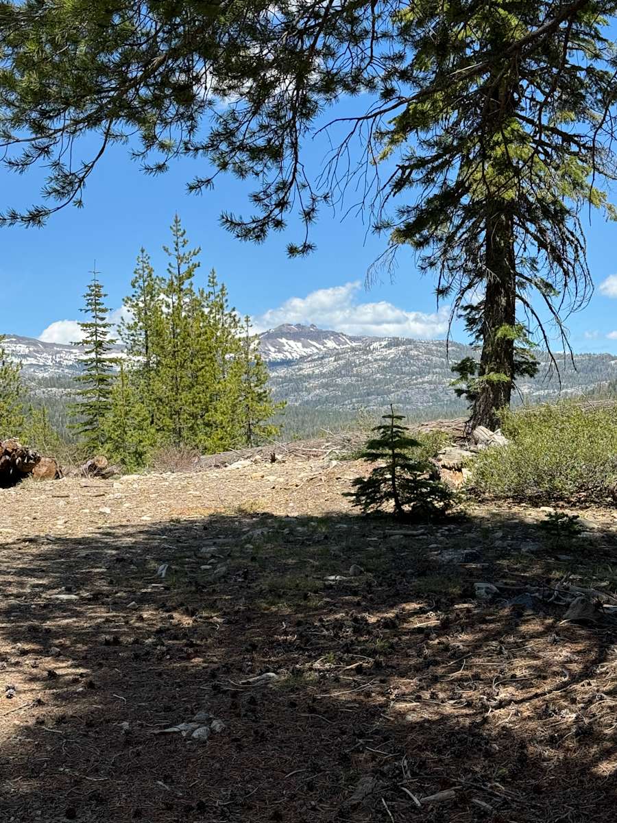 Kingvale Campground and Disc Golf Hipcamp in Norden, California