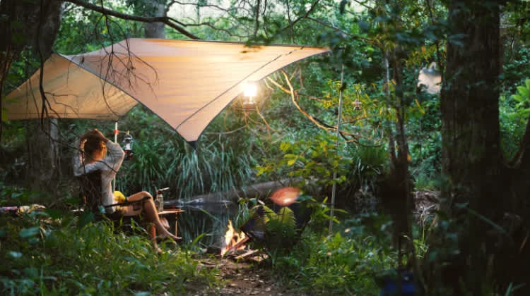 Safe Haven Retreat - Photo 3