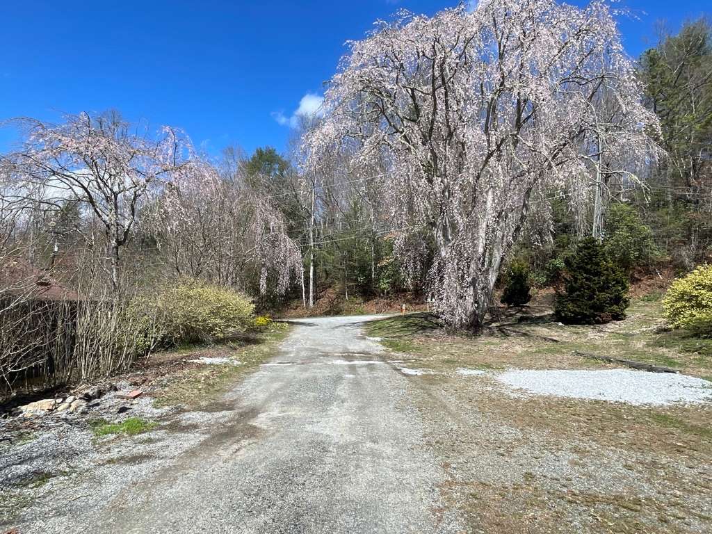 Trails Tails Waterfalls Retreat Hipcamp in Pisgah Forest