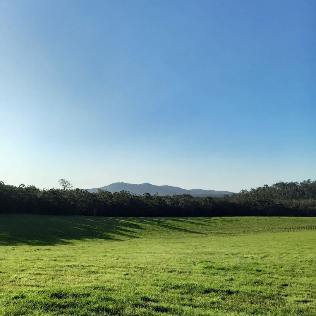 Wild Hope Farm - Photo 2